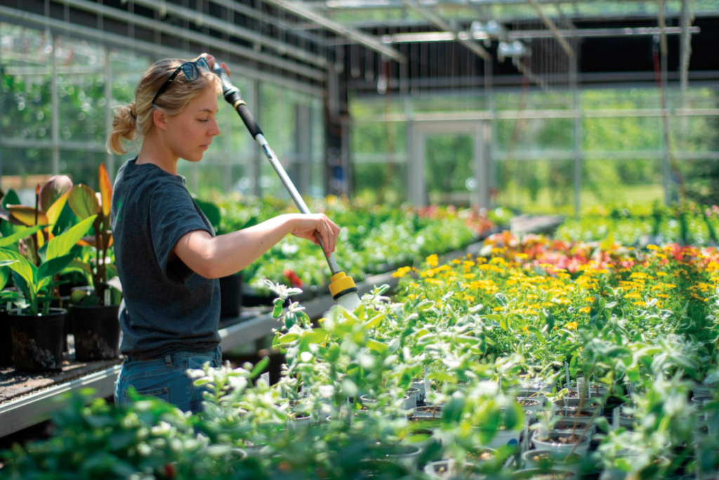 Promoting Sustainable Horticulture in Canada Through Eco-Friendly In Vitro Plant Production