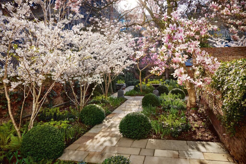 High-Quality Magnolia Plants for Canadian Nurseries Using Precision In Vitro Production