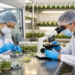 Traditional Nursery Propagation in Richmond Greenhouse