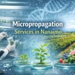 Laboratory technician using tweezers to handle micropropagated plants in sterile petri dishes with Nanaimo waterfront in the background