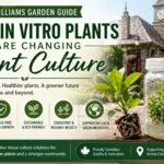 In vitro plants supporting sustainable gardening in Glen Williams