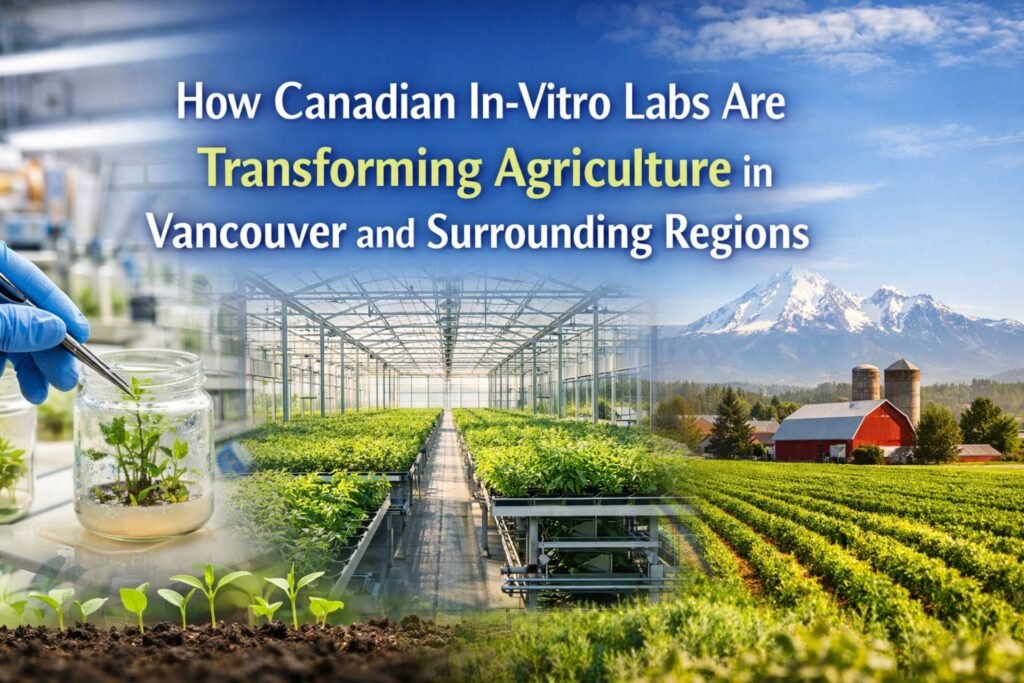 How Canadian In-Vitro Labs Are Transforming Agriculture in Vancouver and Surrounding Regions