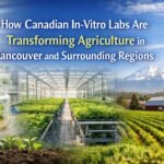 Tissue culture process for healthy plant production