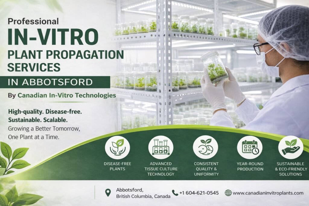 Professional In-Vitro Plant Propagation Services in Abbotsford by Canadian In-Vitro Technologies