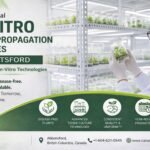 In-vitro plant propagation services in Abbotsford by Canadian In-Vitro Technologies