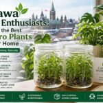 In vitro plants displayed in a modern Ottawa home with indoor greenery