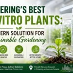 Pickering’s best in vitro plants for sustainable gardening and modern plant propagation