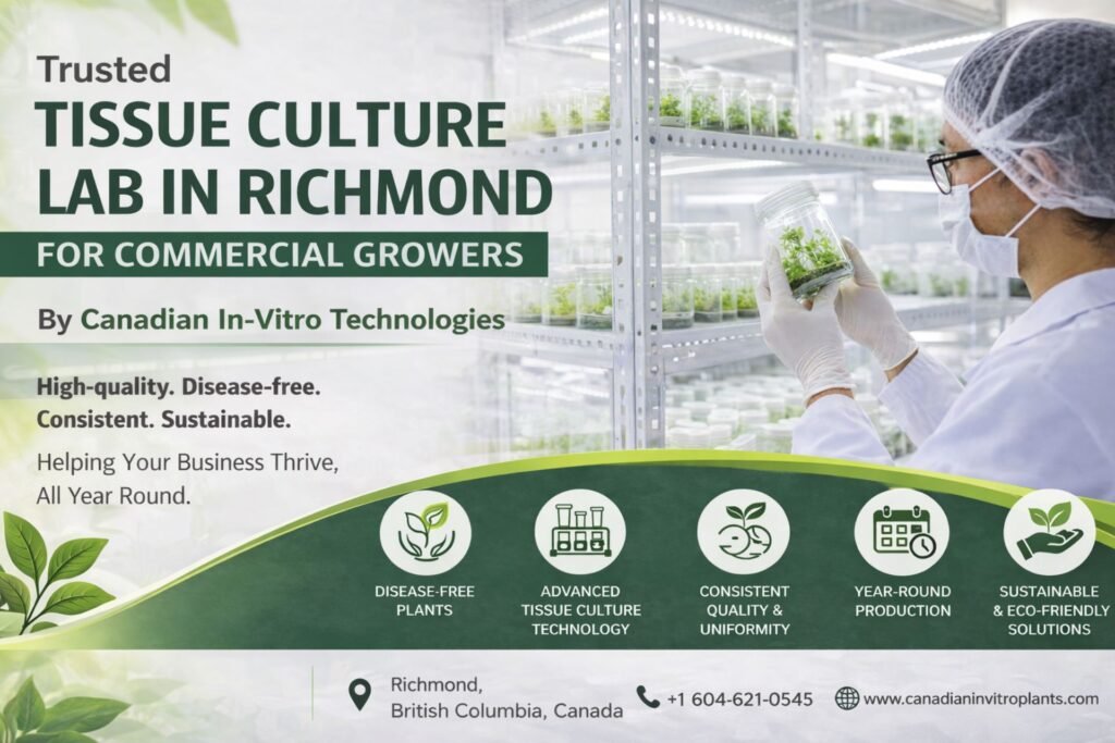 Trusted Tissue Culture Lab in Richmond for Commercial Growers