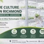 Trusted tissue culture lab in Richmond for commercial growers